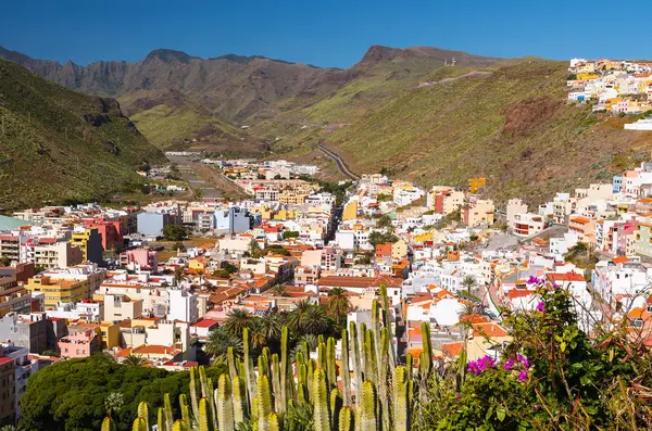 查看山镇白房子花卉 圣地亚哥 加那利群岛 — 图库照片