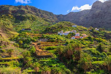 Palmiye ağaçları dağ Vadisi ile köy tropik adada La Gomera, İspanya