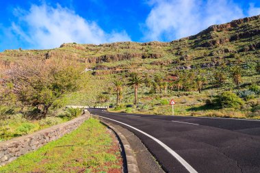 Kırsal yol palmiye ağaç beyaz bulutlar mavi gökyüzü Alojera, La Gomera, Kanarya Adaları