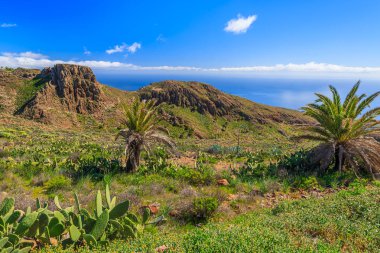 Targa Köyü ve okyanus yakın tropikal peyzaj görüntülemek, La Gomera, Kanarya Adaları