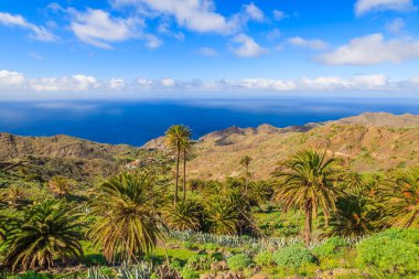 Adanın tropik La Gomera, İspanya sahillerinde mavi okyanus ve palmiye ağaçları