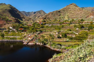 Palmiye ağaç valley Gölü dağlar, La Laja, La Gomera Adası, İspanya