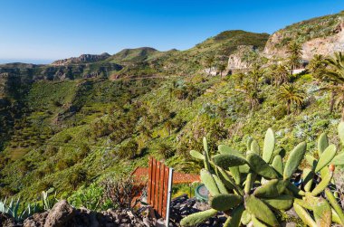 Dağlar vadi palmiye ağaçları, La Gomera Adası, İspanya manzara.