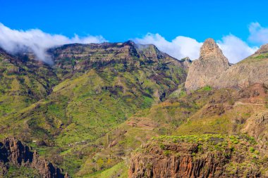 Palmiye ağaçları ve dağlar ile güneşli gün, Benchijigua Vadisi, La Gomera, Kanarya Adaları manzara