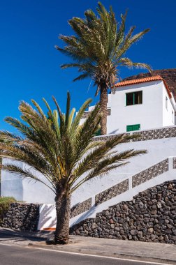 Apartmanlar palmiye ağacı çiçek güzel bir güneşli gün tatil, La Gomera Adası, İspanya