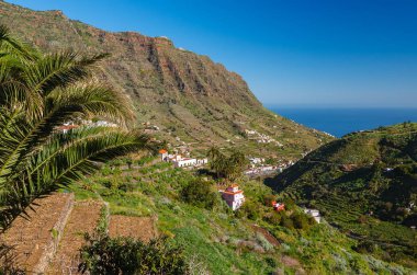 Palmiye ağacı dağ Vadisi, Hermigua, La Gomera, Kanarya Adaları
