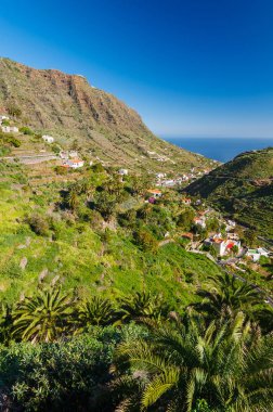 Palmiye ağacı dağ Vadisi, Hermigua, La Gomera, Kanarya Adaları