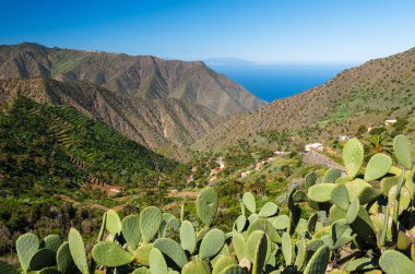 Görünüm dağ Vadisi palmiye ağacı mavi okyanus deniz, Agulo, La Gomera, Kanarya Adaları