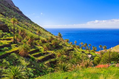 Taguluche Köyü ve mavi okyanus, La Gomera, Kanarya Adaları, İspanya palmiye ağacı vadide görünümünü