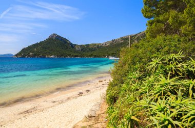 Güzel bir plaj Cala Pi de la Posada, Mayorka Adası, İspanya