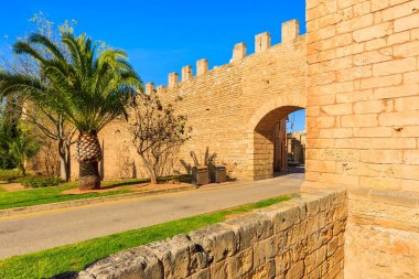 Kapı Alcudia Kalesi ve palmiye ağacına, Mayorka Adası, İspanya