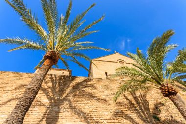 Palmiye ağaçları ve surlar eski kasaba Alcudia kale Mayorka Adası, İspanya