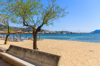 Pollenca bağlantı noktası Sandy beach ile yeşil ağaçların çiçek, Mayorka Adası, İspanya