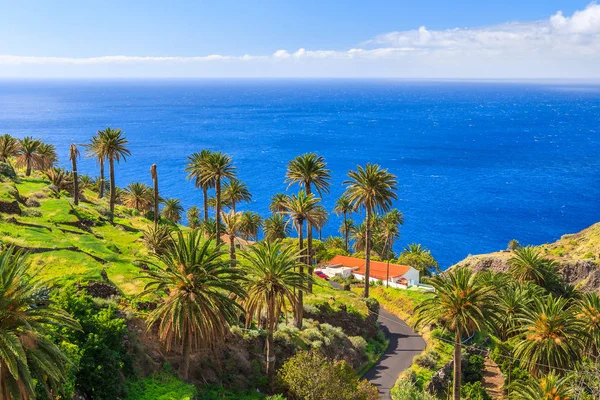 Palmiye ağaçları ile arka planda La Gomera Adası Taguluche dağ köyü, Kanarya Adaları, İspanya'nın tropikal manzara okyanus su