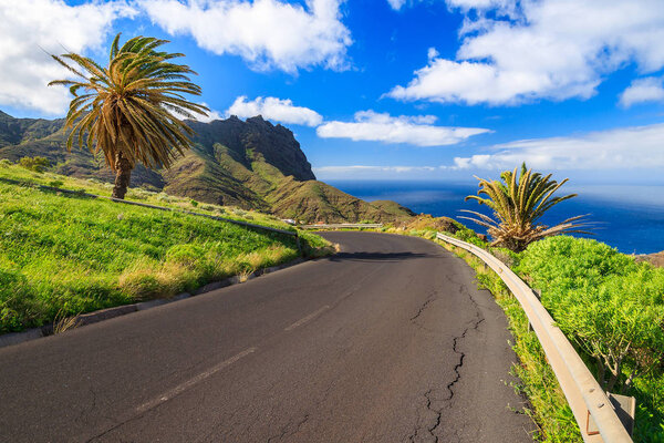 Coastal road with palm trees on La Gomera, Canary Islands, Spain