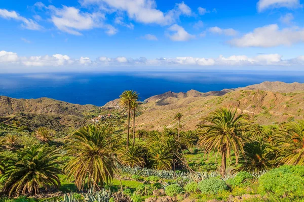 Adanın tropik La Gomera, İspanya sahillerinde mavi okyanus ve palmiye ağaçları