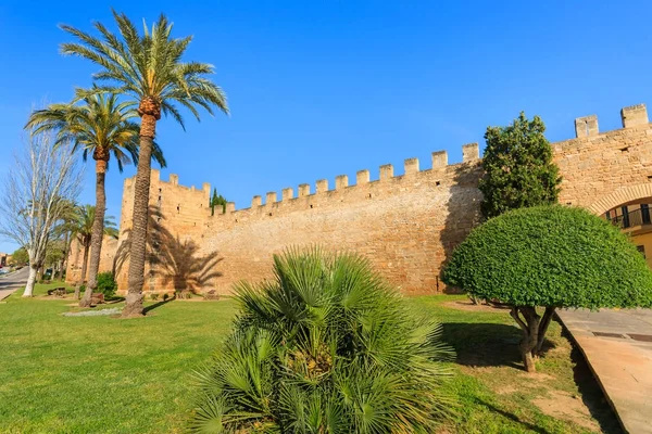 Palmer Offentliga Trädgården Framför Alcudia Slottet Mallorca Island Spanien — Stockfoto