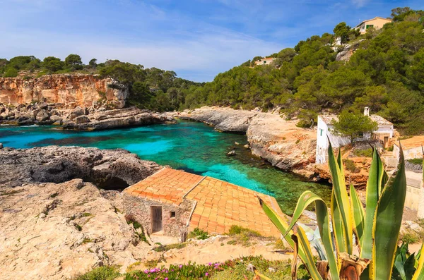 Cala Almunia Öbölre Mallorca Partján Island Spanyolország — Stock Fotó