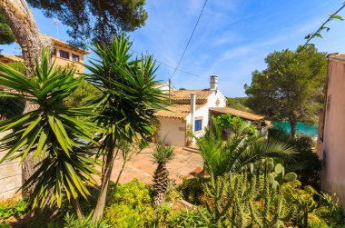 Bitkiler küçük köyde Cala Figuera Mayorka Adası, İspanya
