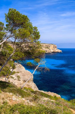 Görünümü güzel Cala des Moro Körfezi, Mayorka Adası, İspanya