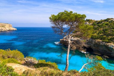 Güzel bay Moro Cala des Mayorka Adası, İspanya