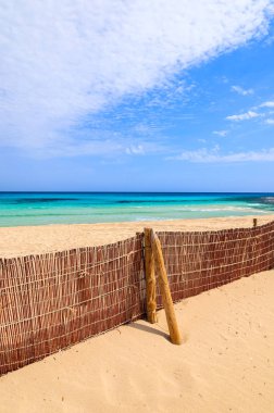 Görünümü güzel Cala Sa Mesquida Beach, Mayorka Adası, İspanya