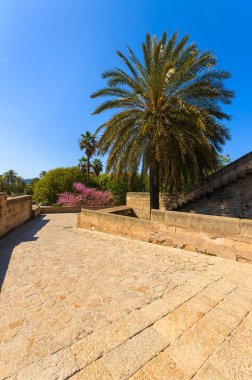 Palma de Mallorca, İspanya Almudaina Kraliyet Sarayı bahçeleri