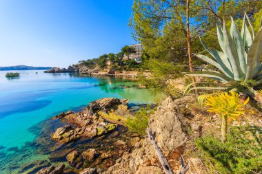 Turkuaz denizde Cala Fornells defne, Mayorka Adası, İspanya