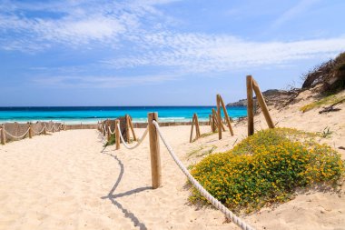 Plaj sarı çiçekler turkuaz deniz kum için yol görüntülemek ahşap direk çit, Cala Agulla, Mayorka Adası, İspanya