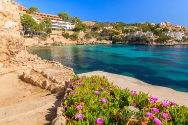 Cala Fornells defne, Mayorka Adası, İspanya içinde tropikal bitki
