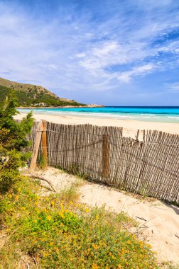 Rüzgar çit Cala Agulla plajda, Mayorka Adası, İspanya