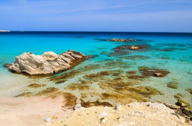 Oğlum Mol masmavi deniz plaj sahil Mayorka Adası, İspanya