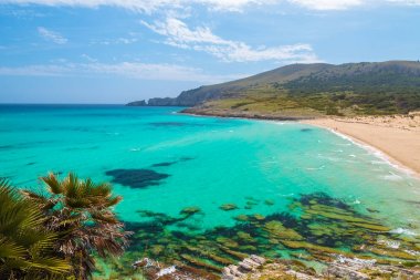 Kum plaj turkuaz defne deniz manzarası, Cala Mesquida, Mayorka Adası, İspanya