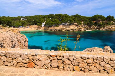 Cala Gat turkuaz deniz plaj ve defne görünümü, Mayorka Adası