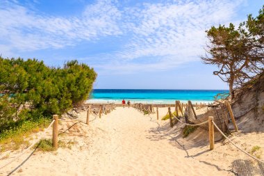 Güzel bir plaj Cala Agulla Mayorka Adası, İspanya yolu