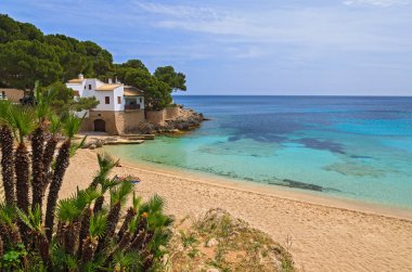 Cala Gat turkuaz deniz plaj ve defne görünümü, Mayorka Adası