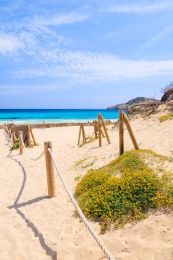 Çiçekler kumul Cala Agulla Beach, Mayorka Adası, İspanya