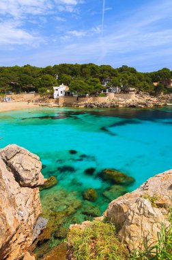 Cala Gat turkuaz deniz plaj ve defne görünümü, Mayorka Adası