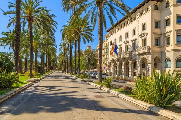Palm tree street in city park of Palma de Mallorca, Spain