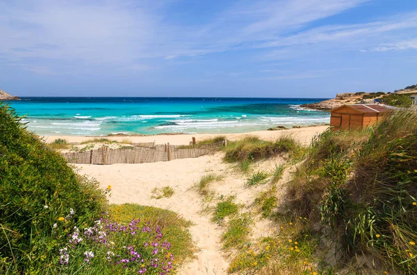 Вид Красивый Песчаный Пляж Кала Агулла Остров Майорка Испания — стоковое фото