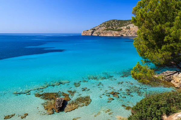 Vue Sur Belle Plage Camp Mar Île Majorque Espagne — Photo