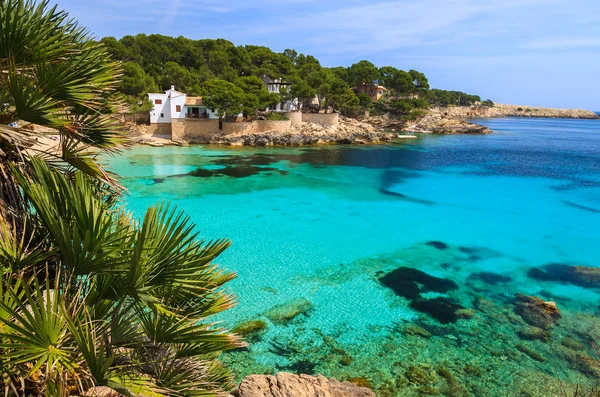 Strand Turquoise Zee Van Cala Gat Bay View Eiland Mallorca — Stockfoto