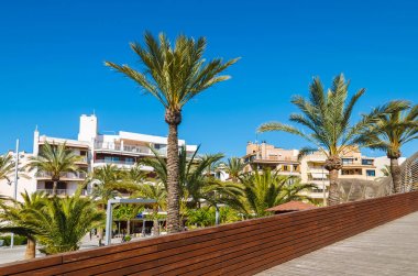 Alcudia Port, Mayorka - 14 Nisan 2013: Promenade Mayorka Adası Alcudia şehirdeki palmiye ağaçlarının. Bu kasaba adanın kuzey kesiminde ve popüler turizm.