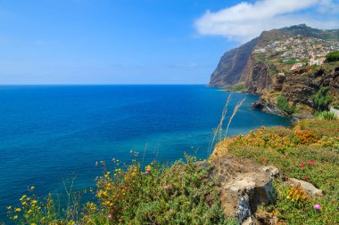Sahil Madeira Adası yaz, Portekiz'tropikal bitki