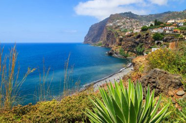 Sahil Madeira Adası yaz, Portekiz'tropikal bitki