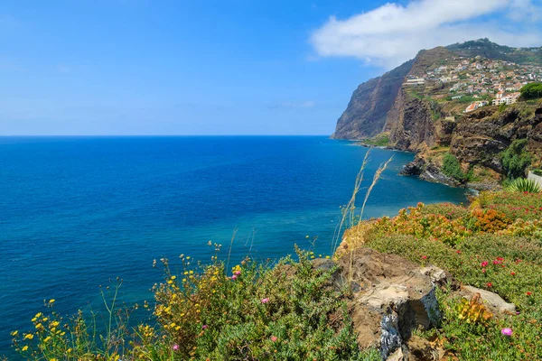 Plantas Tropicais Costa Ilha Madeira Verão Portugal — Fotografia de Stock