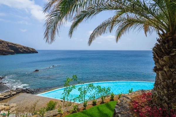 Grüne Rasenfläche Mit Palmen Pool Der Ostküste Des Atlantiks Insel — Stockfoto