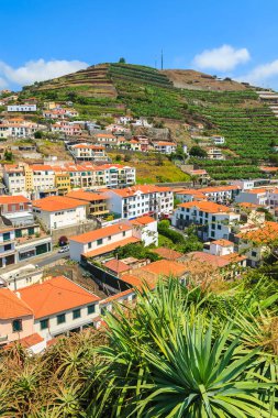 Camara de Lobos Köyü sahil Madeira Adası görünümünü