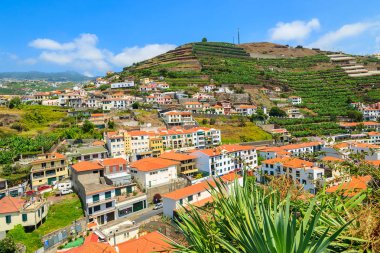 Camara de Lobos Köyü sahil Madeira Adası görünümünü