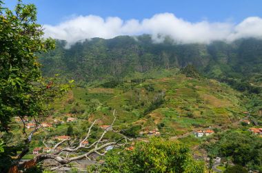 Madeira Adası'nın dağlarında yeşil tropikal peyzaj